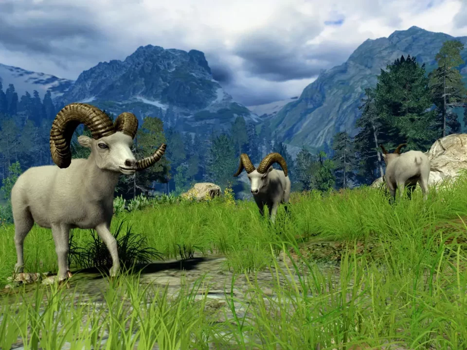 -Cabela's Big Game Hunter 2010-游戏截图-好玩游戏库