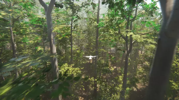 -Bird-游戏截图-好玩游戏库