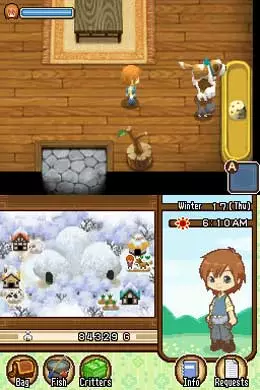 Harvest Moon DS: The Tale of Two Towns