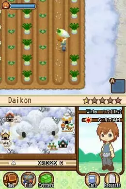 -Harvest Moon DS: The Tale of Two Towns-游戏截图-好玩游戏库