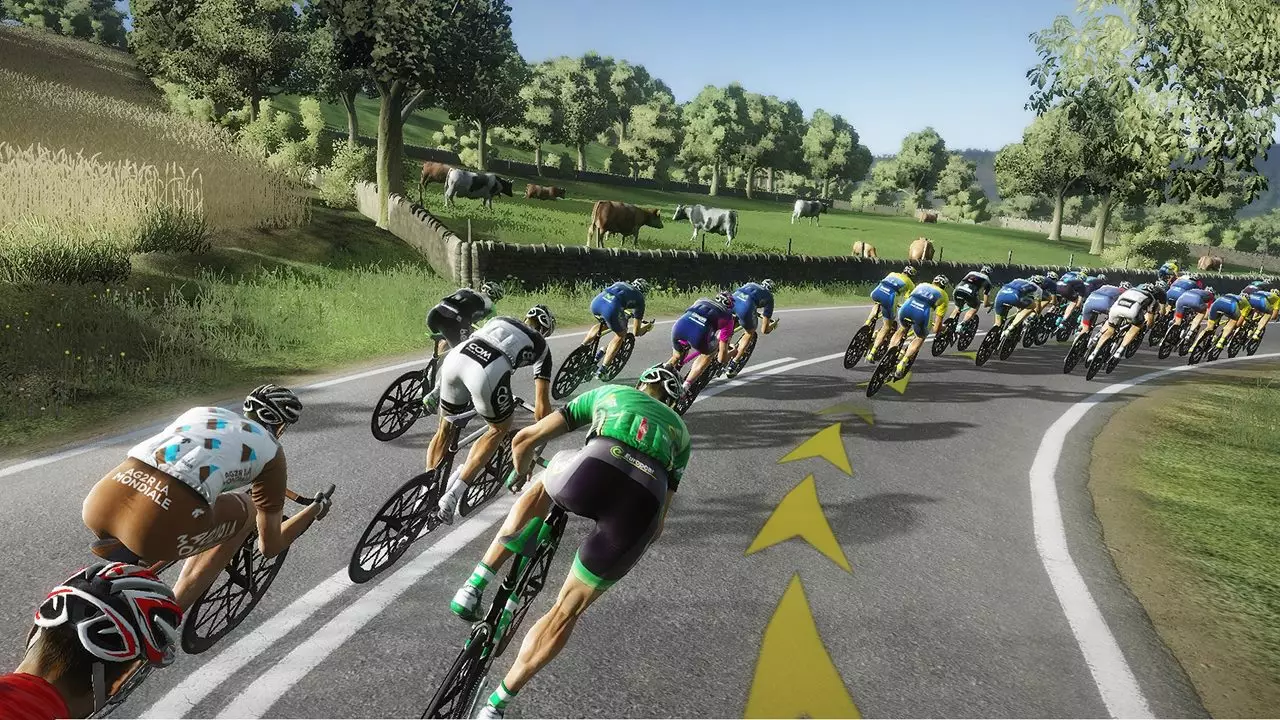 -Pro Cycling Manager 2014-游戏截图-好玩游戏库