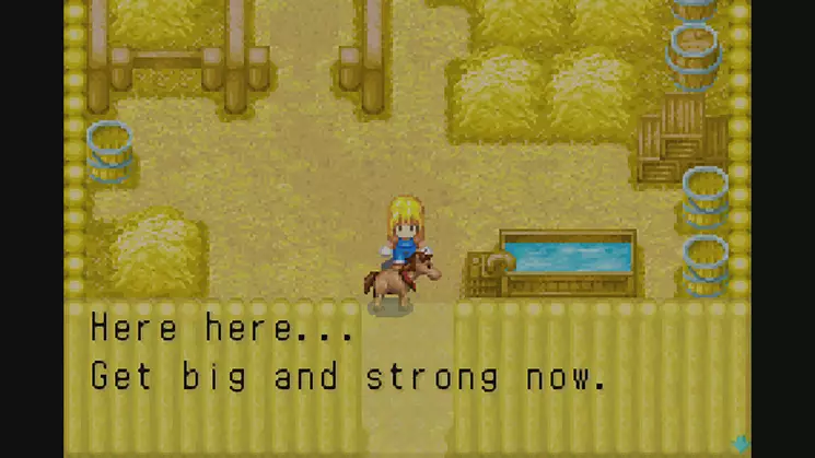 -Harvest Moon: MORE friends of Mineral Town-游戏截图-好玩游戏库