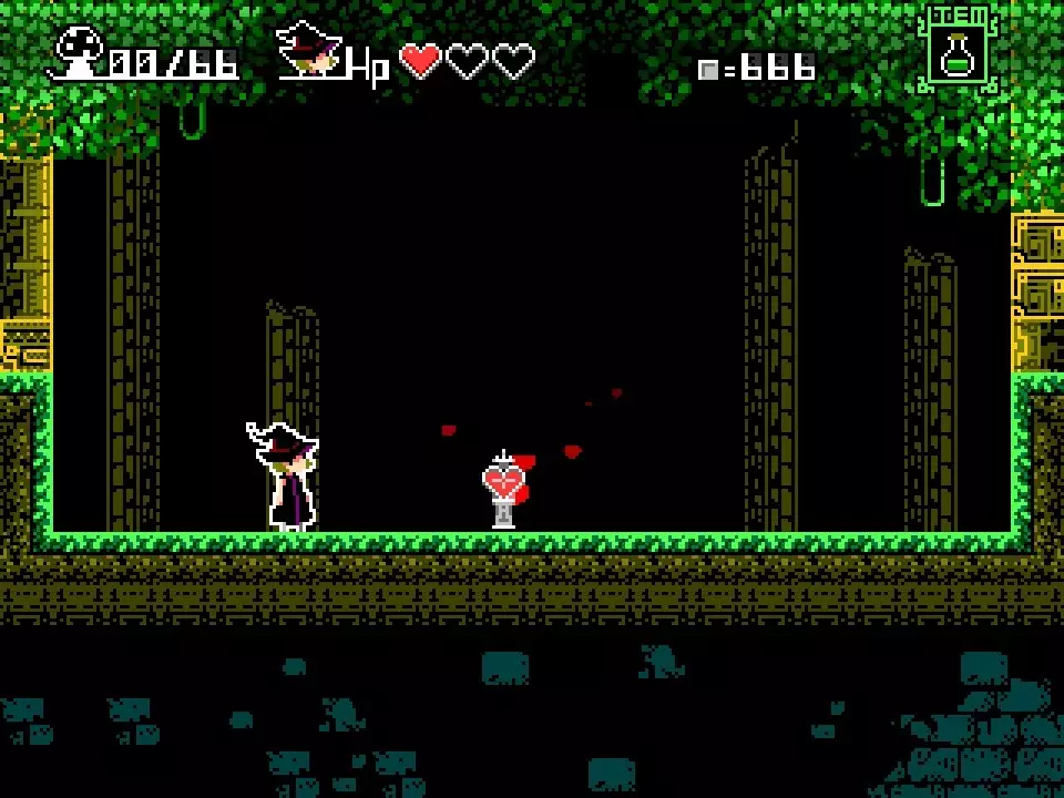 Witch & 66 Mushrooms