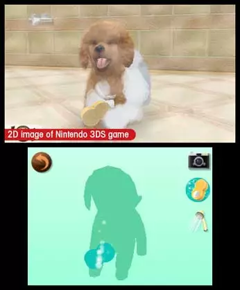 -nintendogs + cats: Golden Retriever & New Friends-游戏截图-好玩游戏库