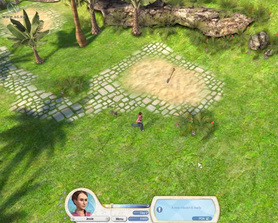 Paws & Claws: Pampered Pets