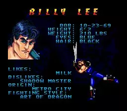 -Double Dragon V: The Shadow Falls-游戏截图-好玩游戏库