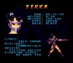 -Double Dragon V: The Shadow Falls-游戏截图-好玩游戏库