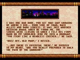 -Budokan: The Martial Spirit (1991)-游戏截图-好玩游戏库