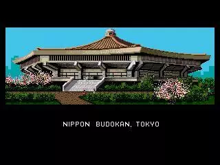 -Budokan: The Martial Spirit (1991)-游戏截图-好玩游戏库