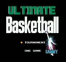 -Ultimate Basketball-游戏截图-好玩游戏库