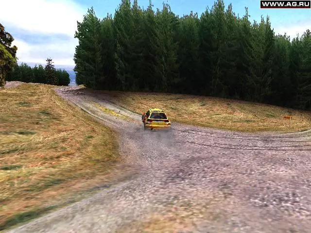 -Rally Championship 2000-游戏截图-好玩游戏库