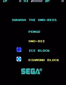 Pengo
