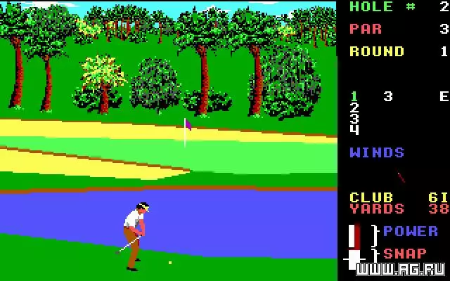 -World Class Leader Board Golf-游戏截图-好玩游戏库