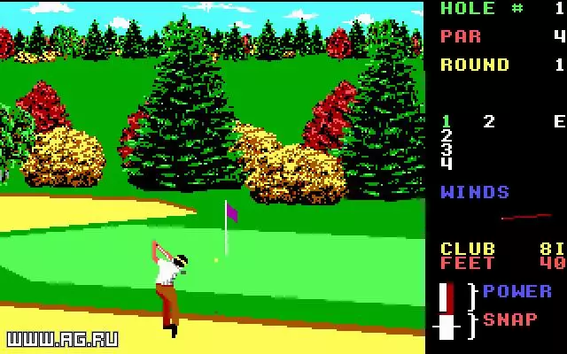 -World Class Leader Board Golf-游戏截图-好玩游戏库