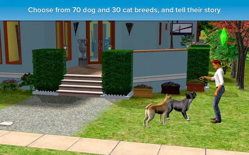-The Sims 2: Pet Stories-游戏截图-好玩游戏库