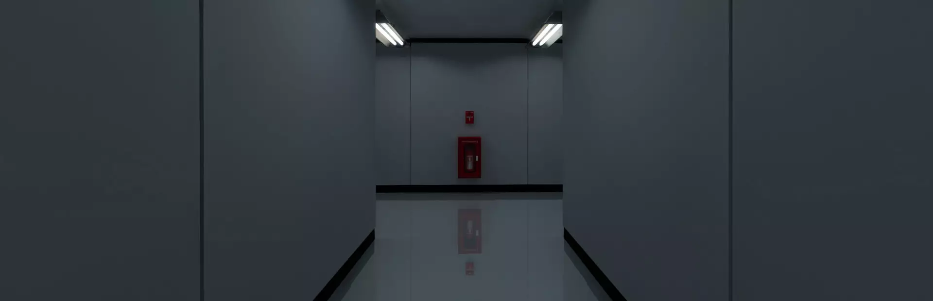 他们杀了你的猫