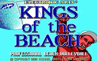 -Kings of the Beach-游戏截图-好玩游戏库