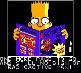 The Simpsons: Bartman Meets Radioactive Man
