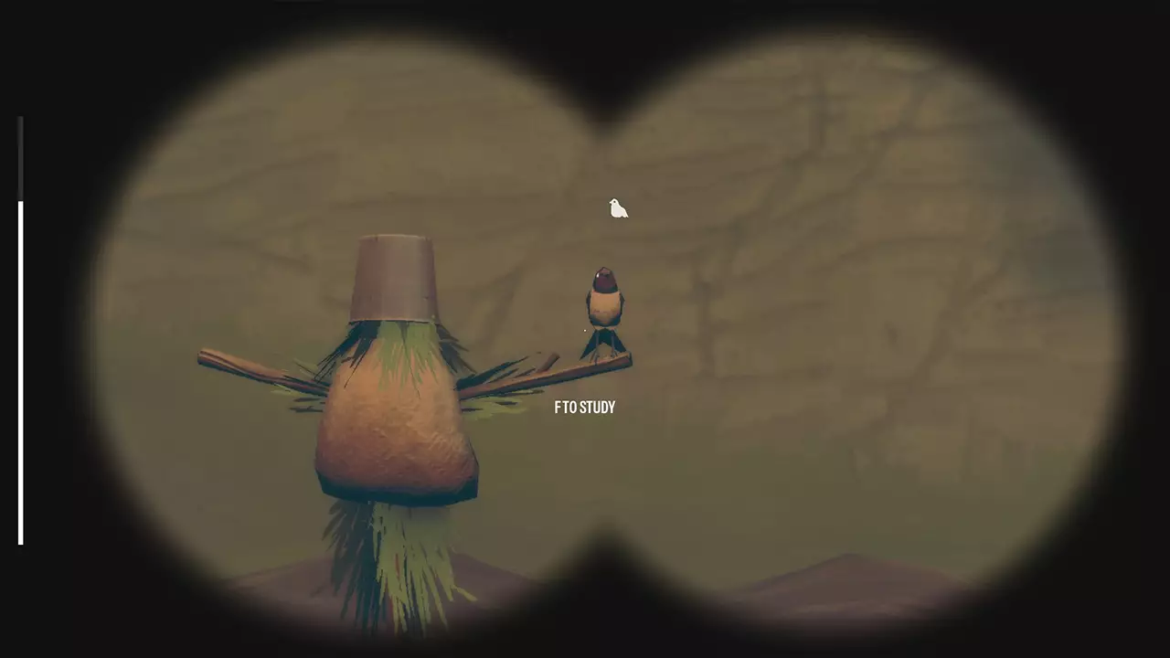 观鸟-Birds Watching-游戏截图-好玩游戏库