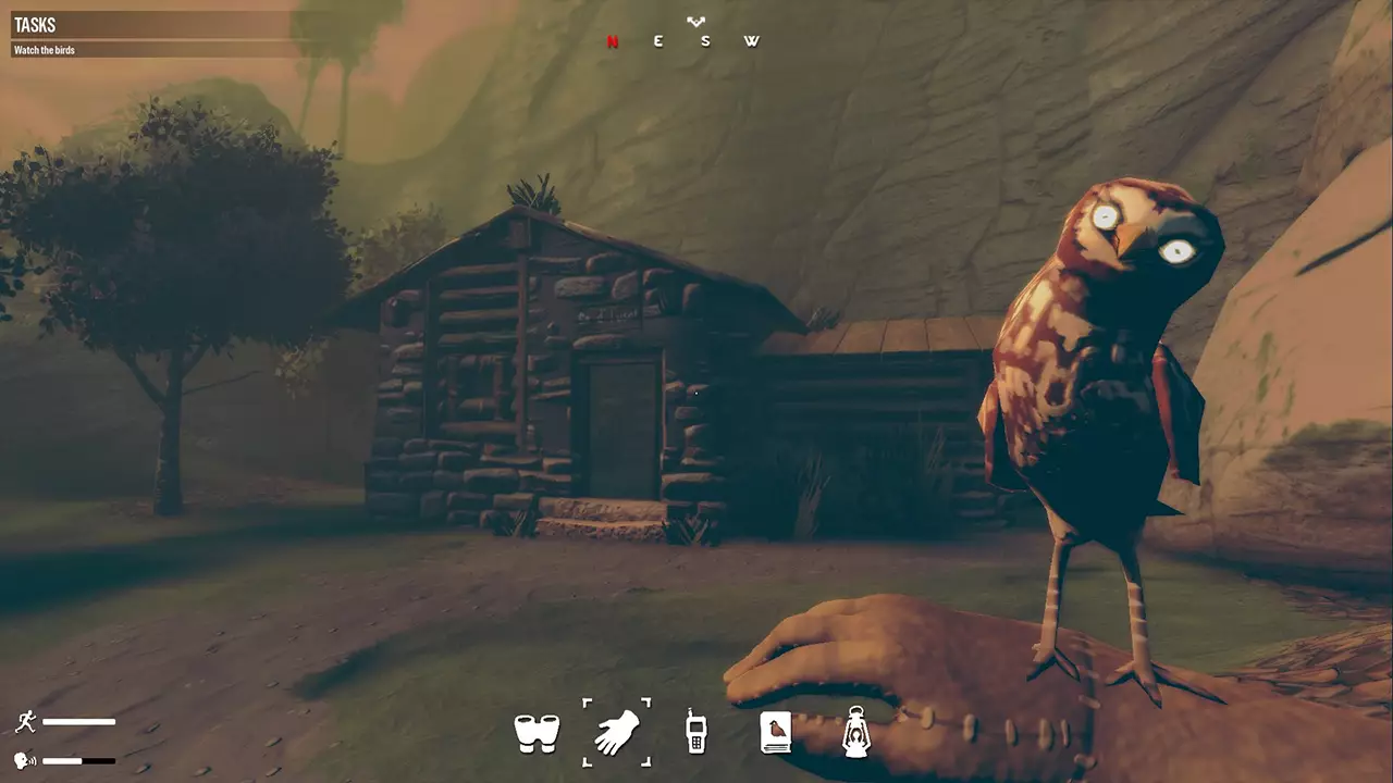 观鸟-Birds Watching-游戏截图-好玩游戏库